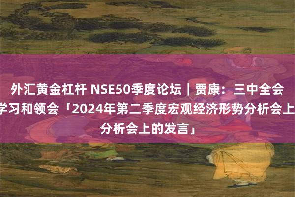 外汇黄金杠杆 NSE50季度论坛｜贾康：三中全会精神的学习和领会「2024年第二季度宏观经济形势分析会上的发言」