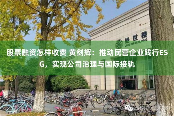 股票融资怎样收费 黄剑辉：推动民营企业践行ESG，实现公司治理与国际接轨