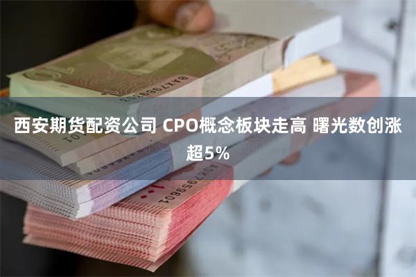 西安期货配资公司 CPO概念板块走高 曙光数创涨超5%