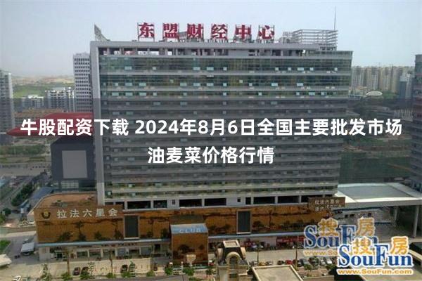 牛股配资下载 2024年8月6日全国主要批发市场油麦菜价格行情