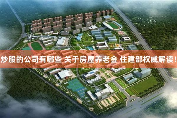 炒股的公司有哪些 关于房屋养老金 住建部权威解读！