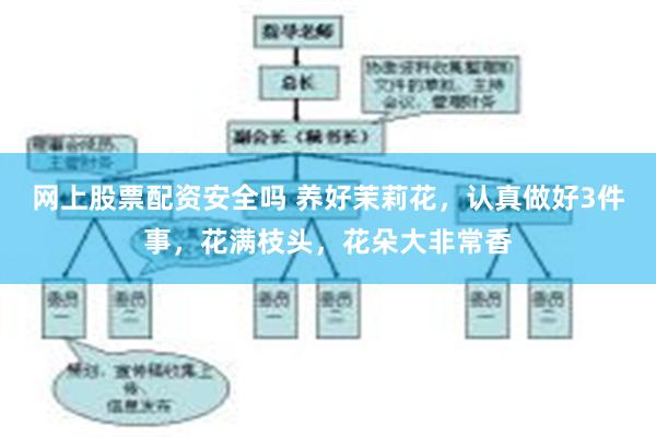 网上股票配资安全吗 养好茉莉花，认真做好3件事，花满枝头，花朵大非常香