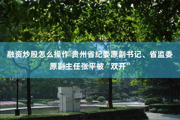 融资炒股怎么操作 贵州省纪委原副书记、省监委原副主任张平被“双开”