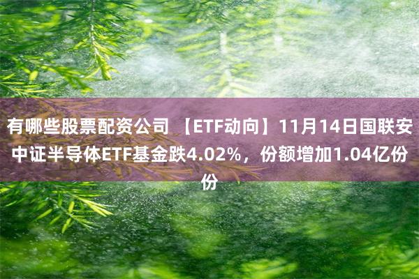 有哪些股票配资公司 【ETF动向】11月14日国联安中证半导体ETF基金跌4.02%，份额增加1.04亿份