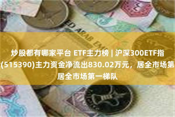 炒股都有哪家平台 ETF主力榜 | 沪深300ETF指数基金(515390)主力资金净流出830.02万元，居全市场第一梯队