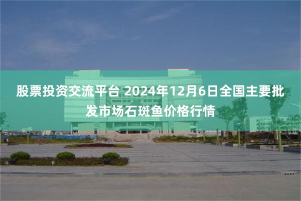 股票投资交流平台 2024年12月6日全国主要批发市场石斑鱼价格行情