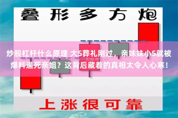 炒股杠杆什么原理 大S葬礼刚过，亲妹妹小S就被爆料逼死亲姐？这背后藏着的真相太令人心寒！