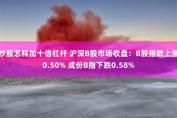 炒股怎样加十倍杠杆 沪深B股市场收盘：B股指数上涨0.50% 成份B指下跌0.58%